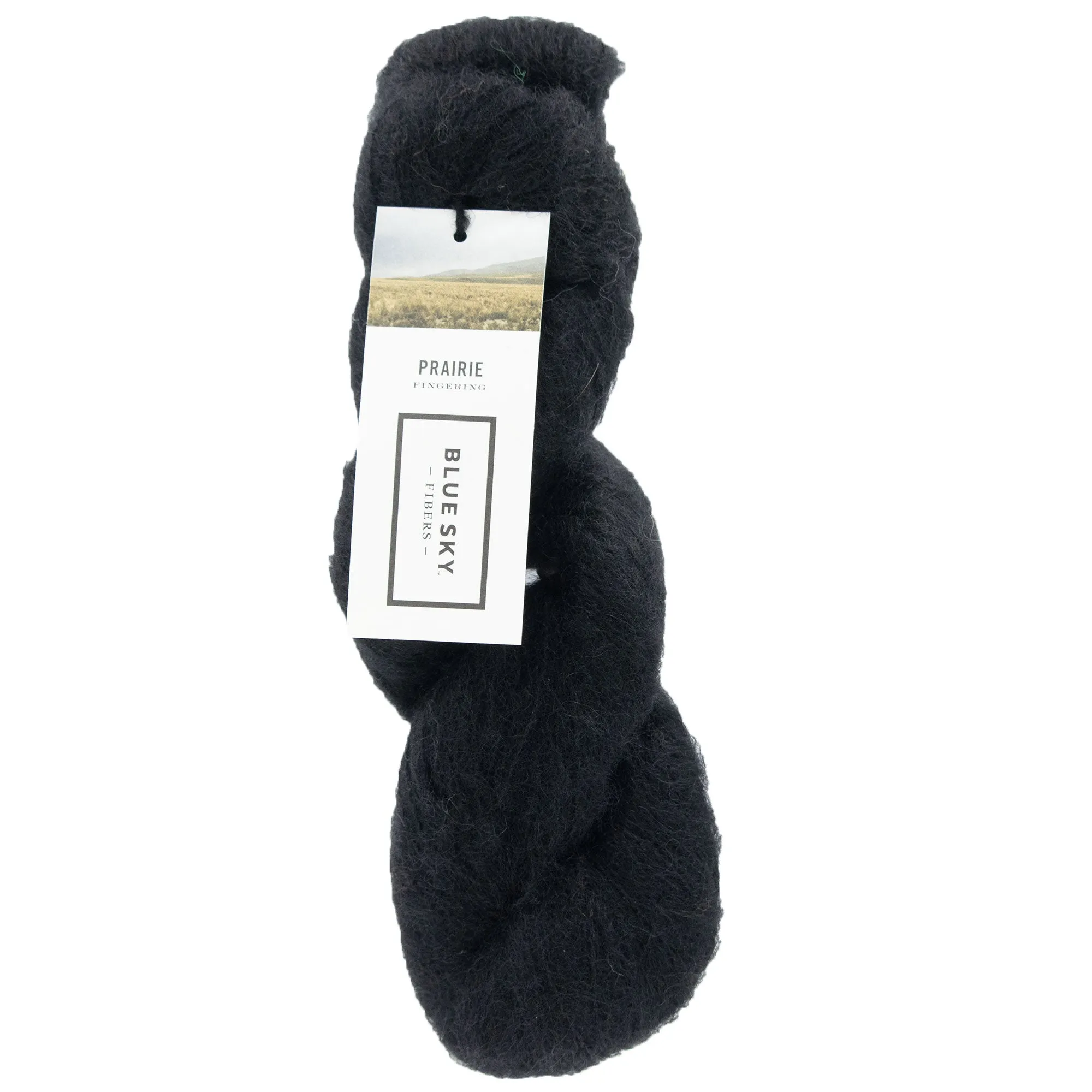 Blue Sky Fibers Prairie Yarn - 1101 - Raven